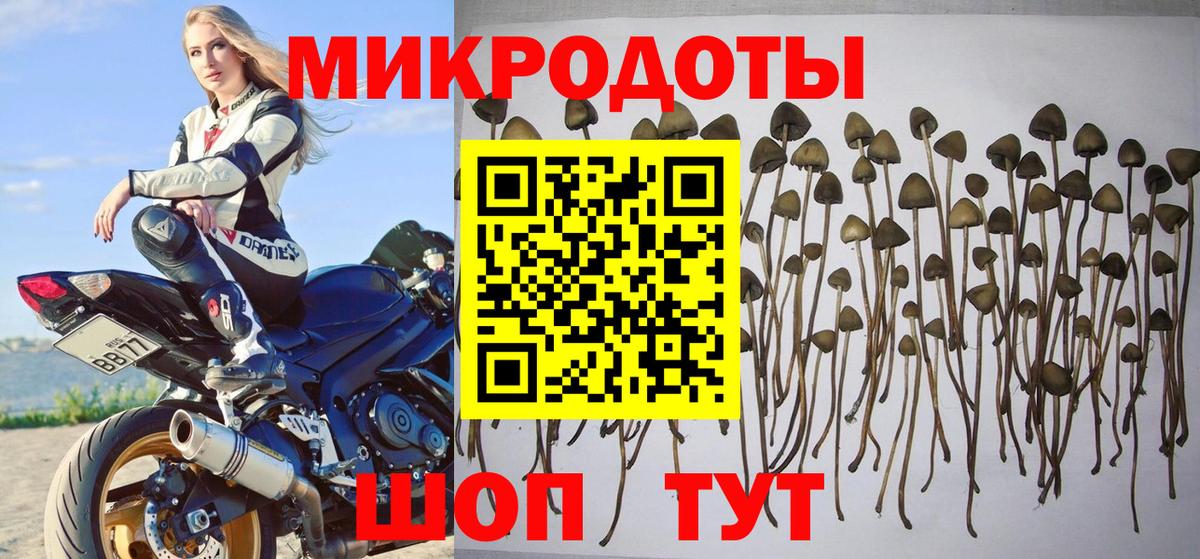 Галлюциногенные грибы GOLDEN TEACHER  Вход с VPN  Лыткарино 