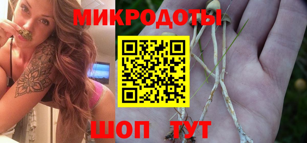Галлюциногенные грибы мухоморы Лыткарино